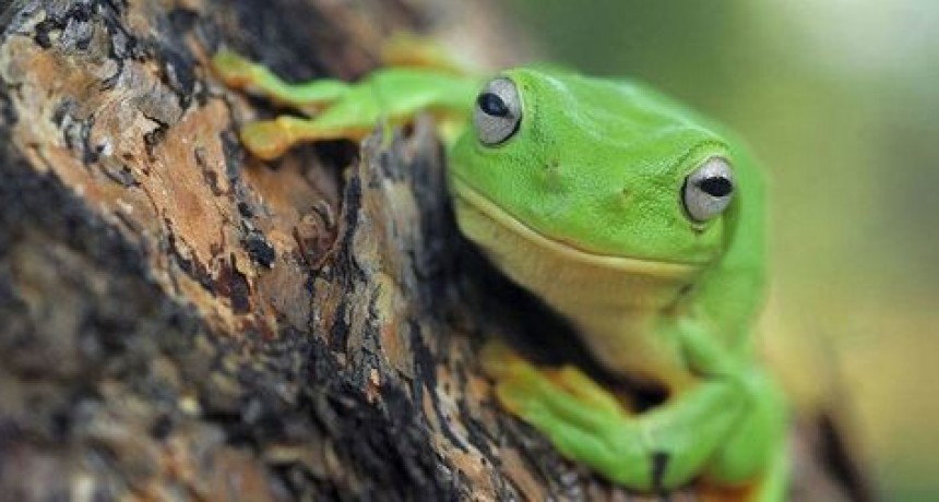 LAS MEJORES HISTORIAS INSPIRADORAS.-
