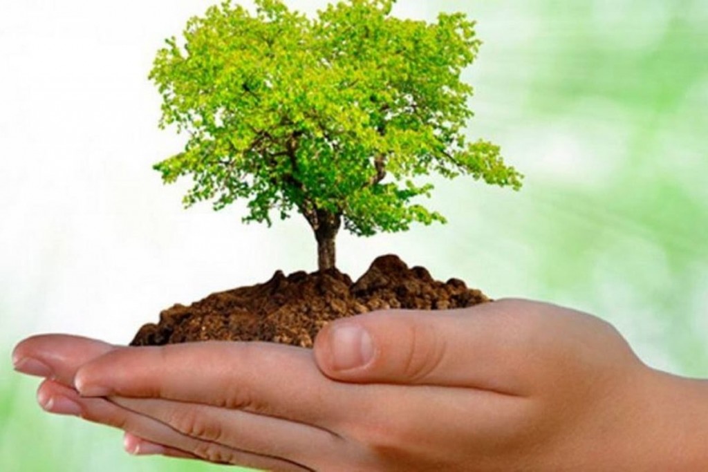 Mes del Árbol: Tupungato alienta a ser parte de las acciones eco sostenibles de la Muni