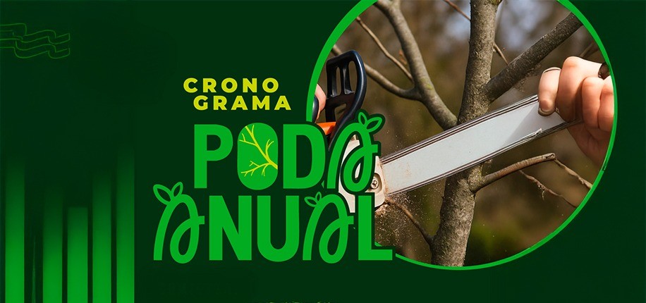 TUNUYÁN:Comienza el cronograma de poda en calles y barrios
