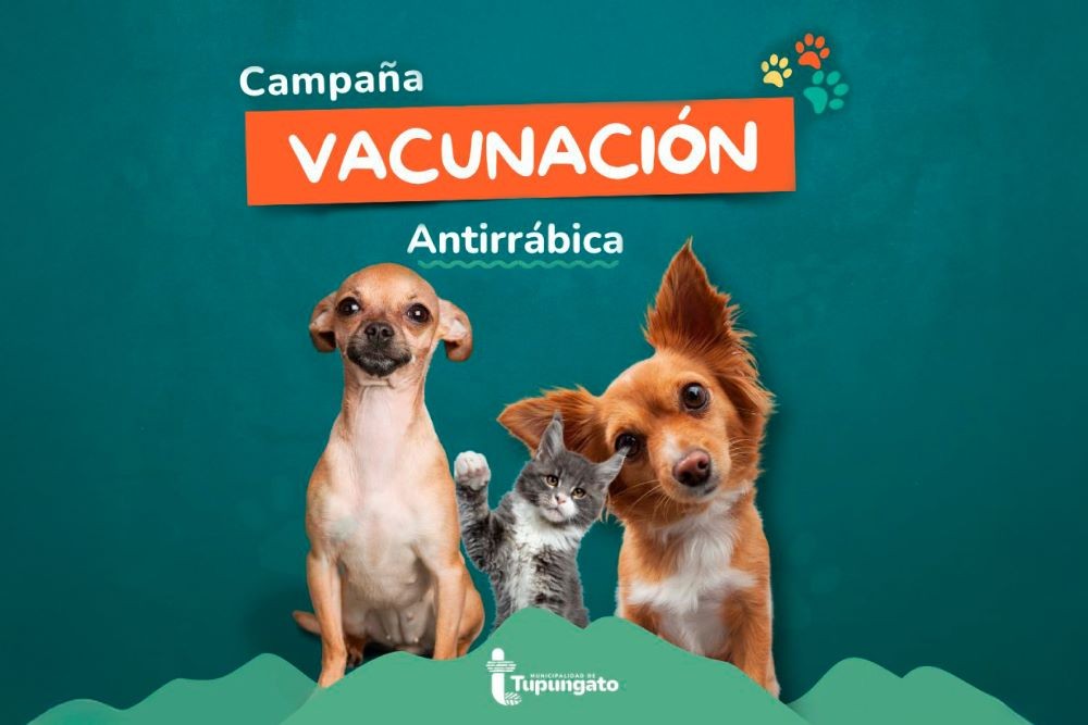 Tupungato inicia la Campaña de Vacunación Antirrábica 2025