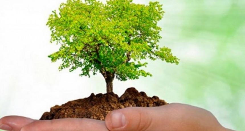 Mes del Árbol: Tupungato alienta a ser parte de las acciones eco sostenibles de la Muni
