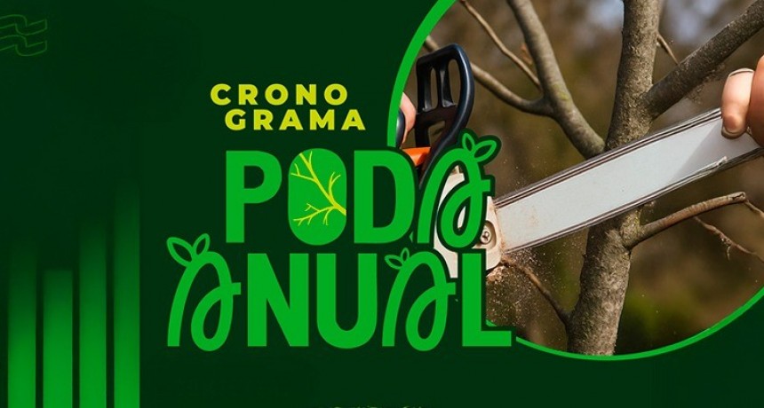TUNUYÁN:Comienza el cronograma de poda en calles y barrios