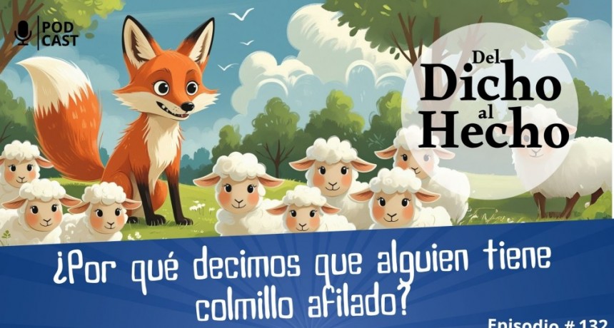 DEL DICHO AL HECHO: ¿ PORQUE DECIMOS LA FRASE 
