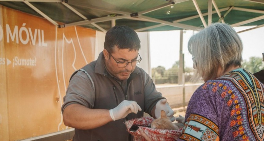 Atención La Arboleda: mañana y pasado atenderá el Quirófano Móvil de Esterilización de Animales Domésticos en B° Los Cerezos