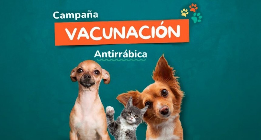 Tupungato inicia la Campaña de Vacunación Antirrábica 2025