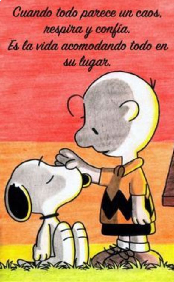 CITAS Y FRASES.-