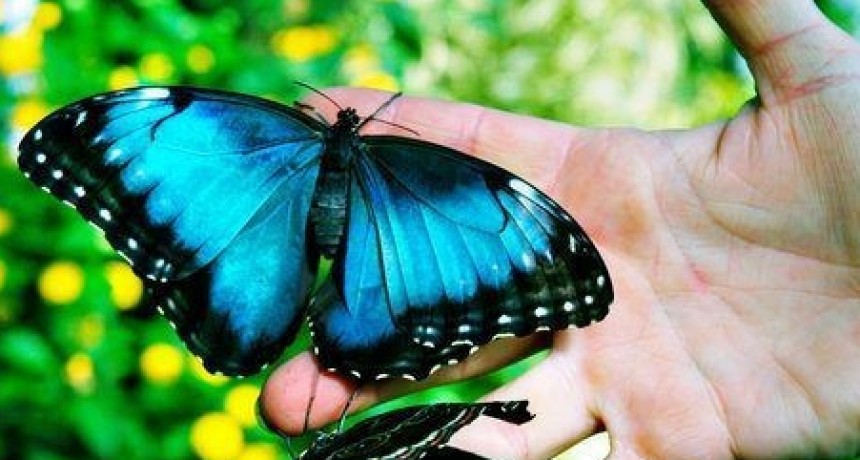 LAS MEJORES HISTORIAS INSPIRADORAS.-