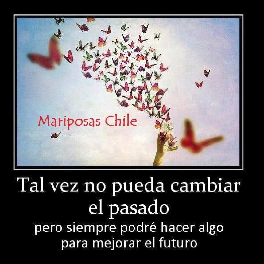 LA VIDA.-