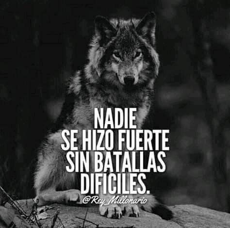 CITAS Y FRASES.-