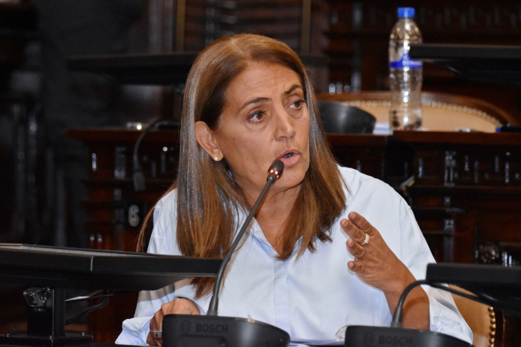 DIPUTADA PROVINCIAL GABRIELA LIZANA: SU MIRADA FRENTE A LA PRIVATIZACIÓN DE I.M.P.S.A.