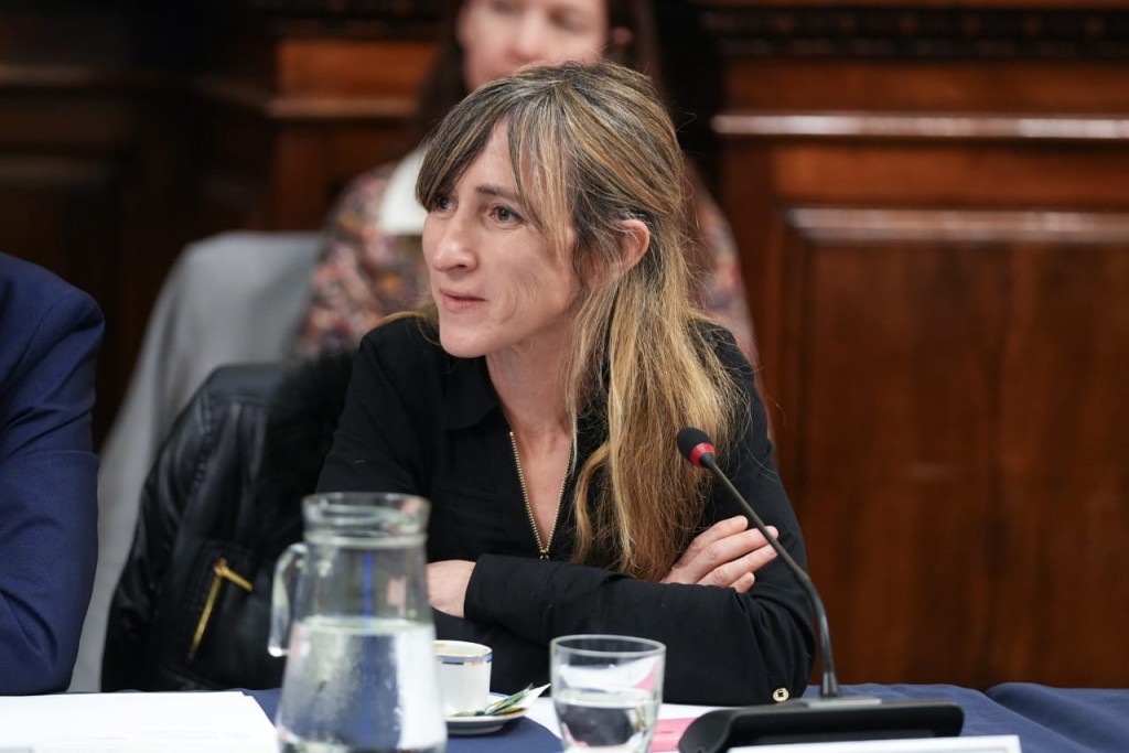 Diputada de Milei presentó proyecto de repudio a medio de comunicación ruso por difundir fake news contra el Gobierno