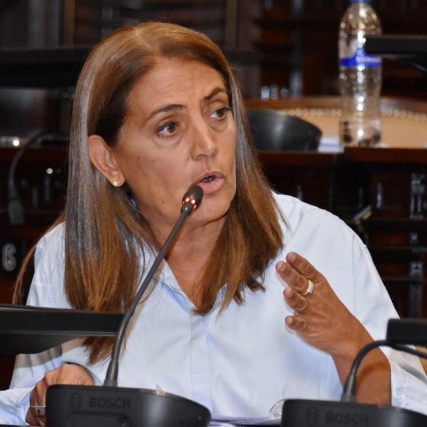 DIPUTADA PROVINCIAL GABRIELA LIZANA: SU MIRADA FRENTE A LA PRIVATIZACIÓN DE I.M.P.S.A.