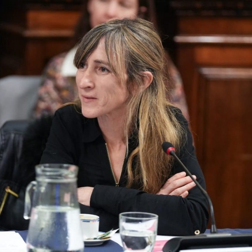 La Diputada Mercedes Llano se manifestó a favor de la privatización de IMPSA.