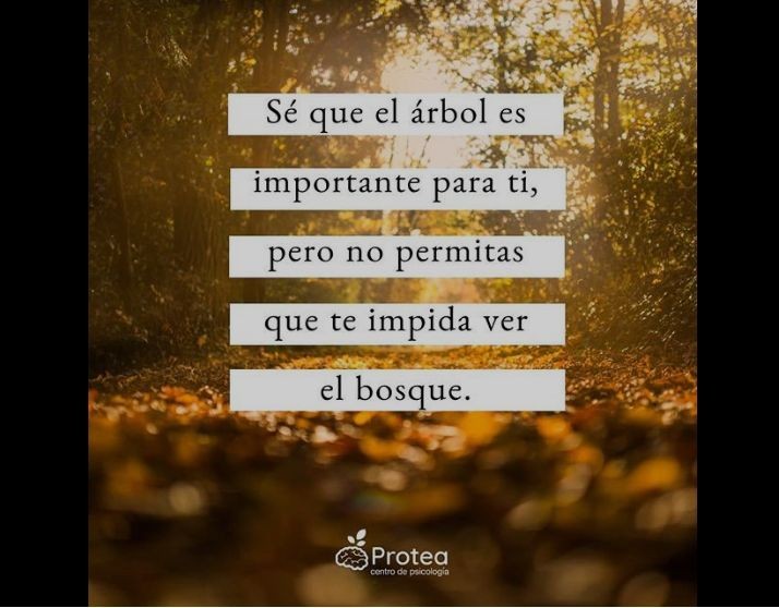 CITAS Y FRASES.-
