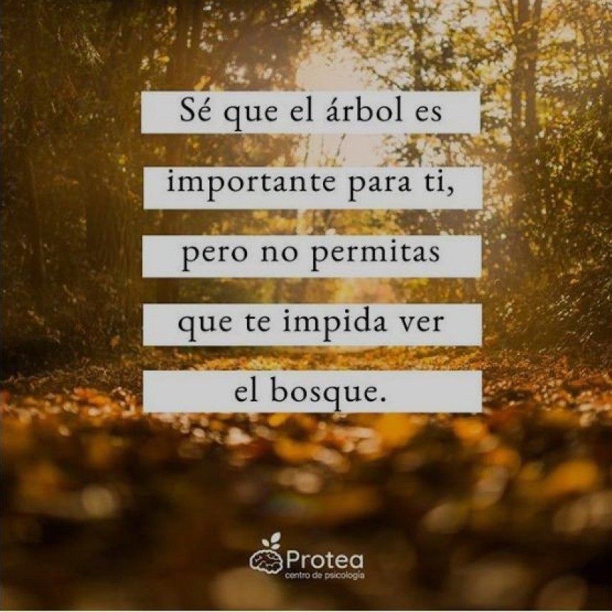 CITAS Y FRASES.-