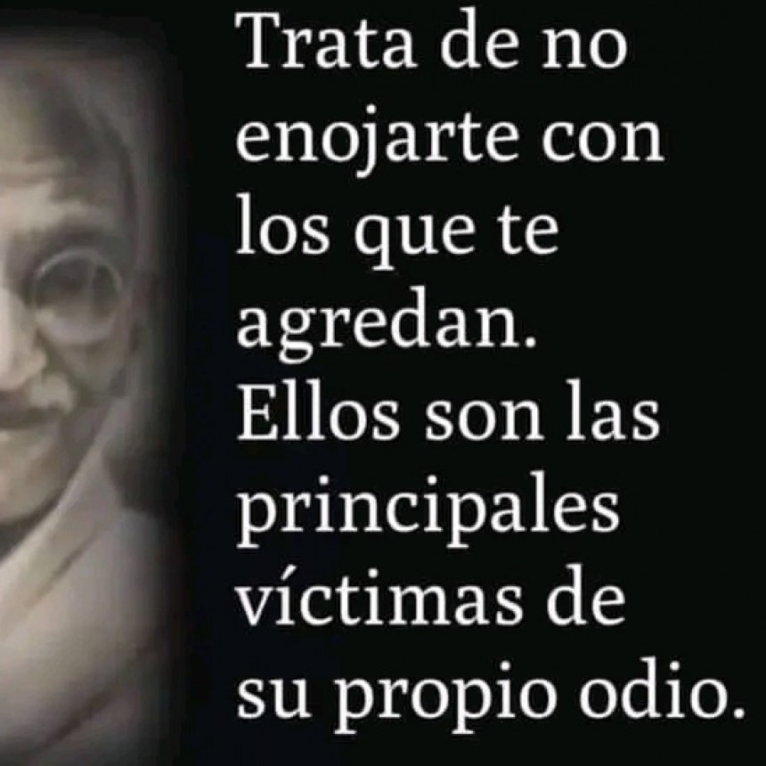 CITAS Y FRASES DIARIAS.-