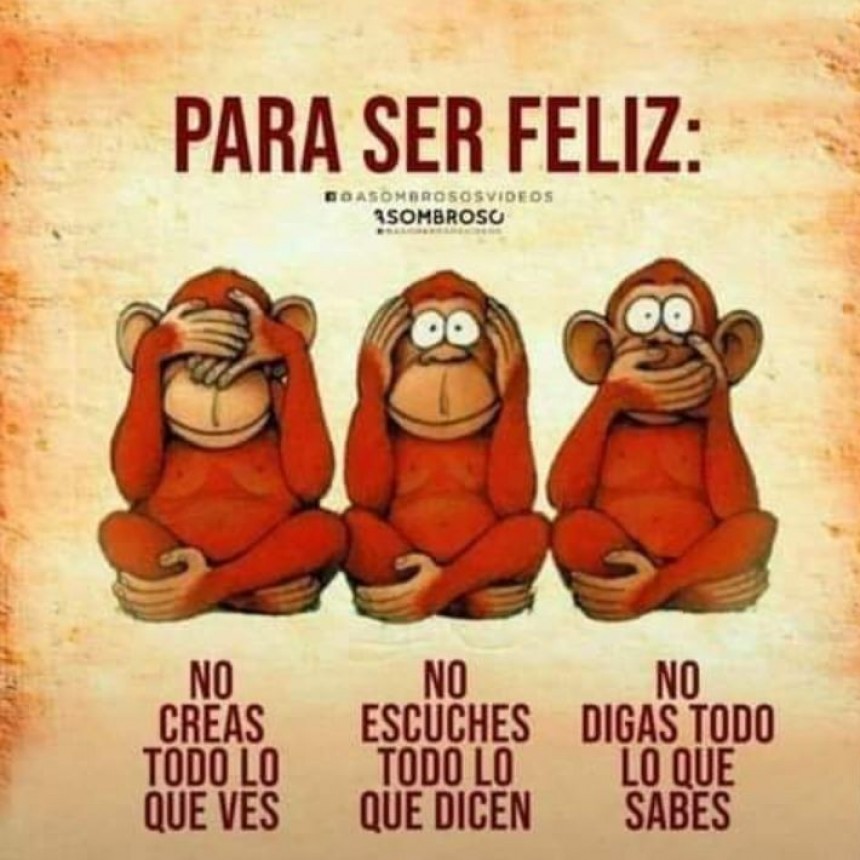 CITAS Y FRASES.-