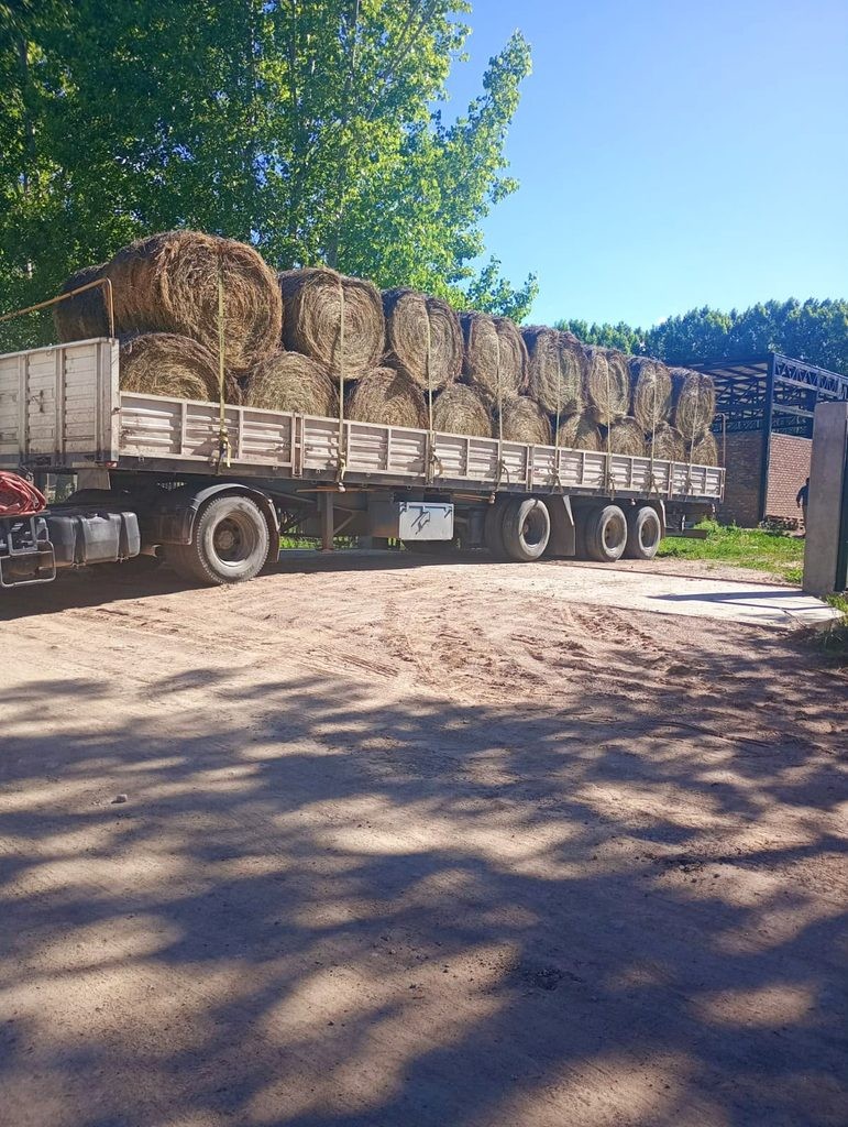 SAN CARLOS RECIBI&Oacute; ASISTENCIA PARA FORTALECER A LOS PRODUCTORES CAPRINOS