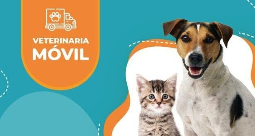 Cronograma mes de octubre de la Veterinaria M&oacute;vil en TUNUY&Aacute;N