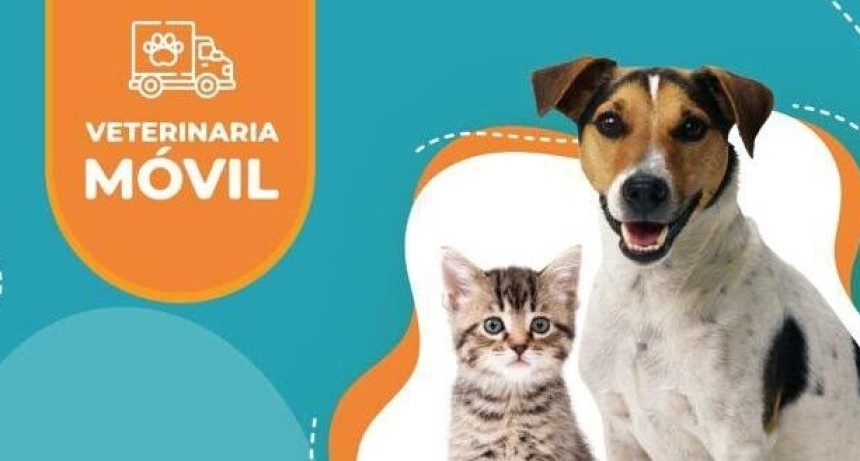 La Veterinaria M&oacute;vil atender&aacute; esta semana en el Barrio Gui&ntilde;az&uacute;