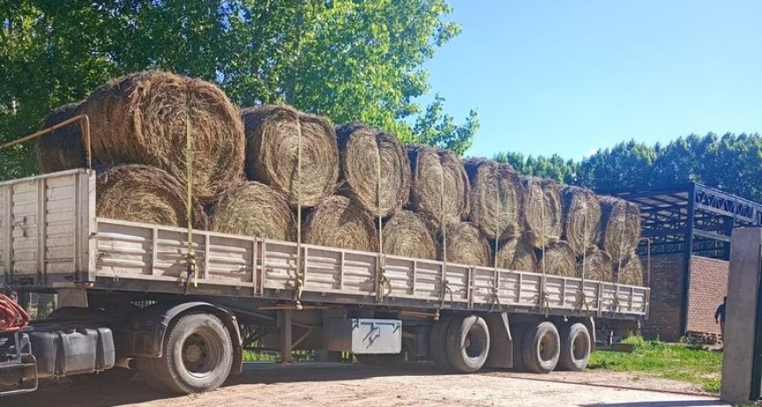 SAN CARLOS RECIBI&Oacute; ASISTENCIA PARA FORTALECER A LOS PRODUCTORES CAPRINOS