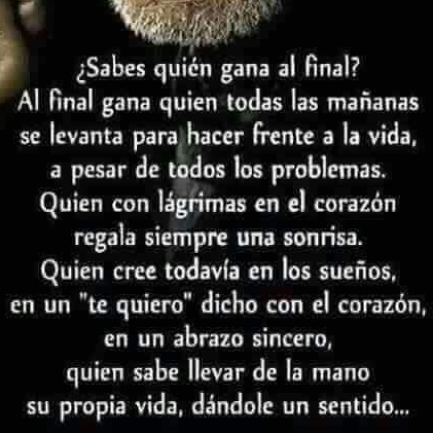 CITAS Y FRASES DIARIAS.-