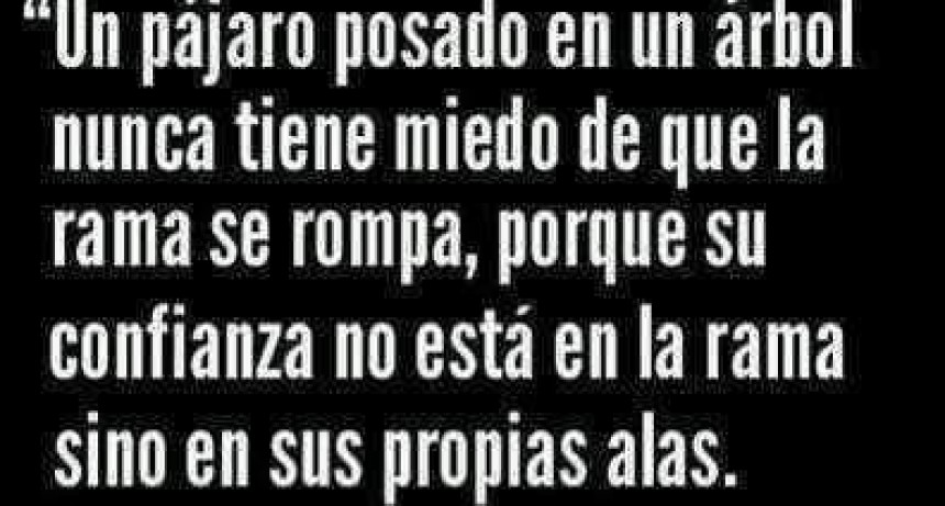 CITAS Y FRASES.-