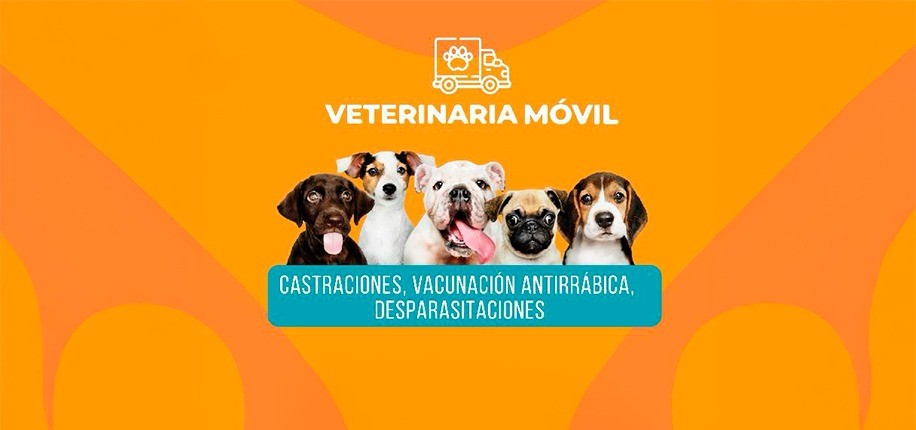 Esta semana la Veterinaria Móvil llega al Barrio UEFA