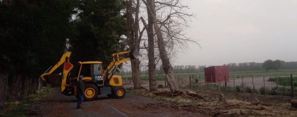 Viento zonda: la Municipalidad de Tunuyán desplegó un operativo simultáneo en todo el departamento