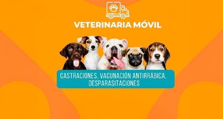 Esta semana la Veterinaria Móvil llega al Barrio UEFA