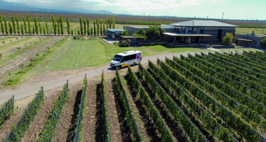 Luján de Cuyo, potencia mundial: tres bodegas en el Top 10 y ocho entre las mejores 50 según Forbes