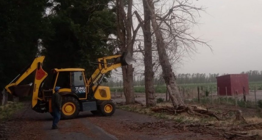 Viento zonda: la Municipalidad de Tunuyán desplegó un operativo simultáneo en todo el departamento