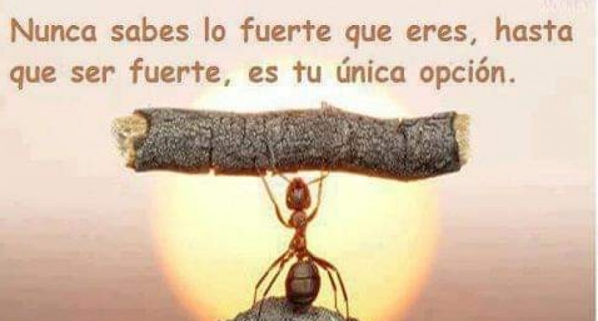 CITAS Y FRASES DIARIAS.-