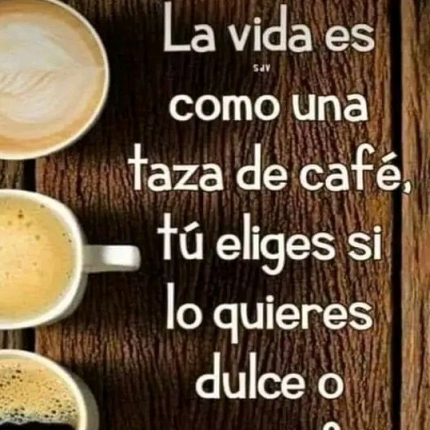 CITAS Y FRASES DIARIAS.-