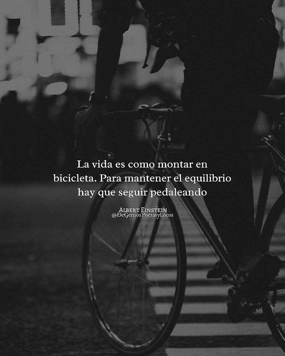 CITAS Y FRASES.-