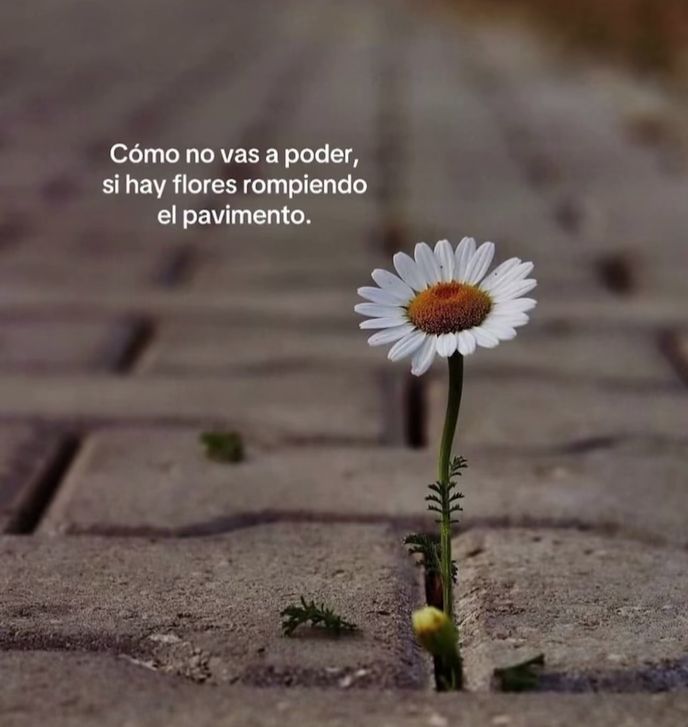 CITAS Y FRASES.-